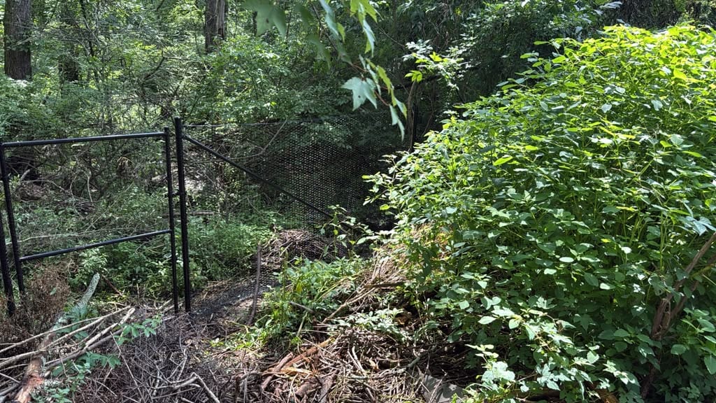 Black chain link fence with a gate frame installed along a wooded property boundary